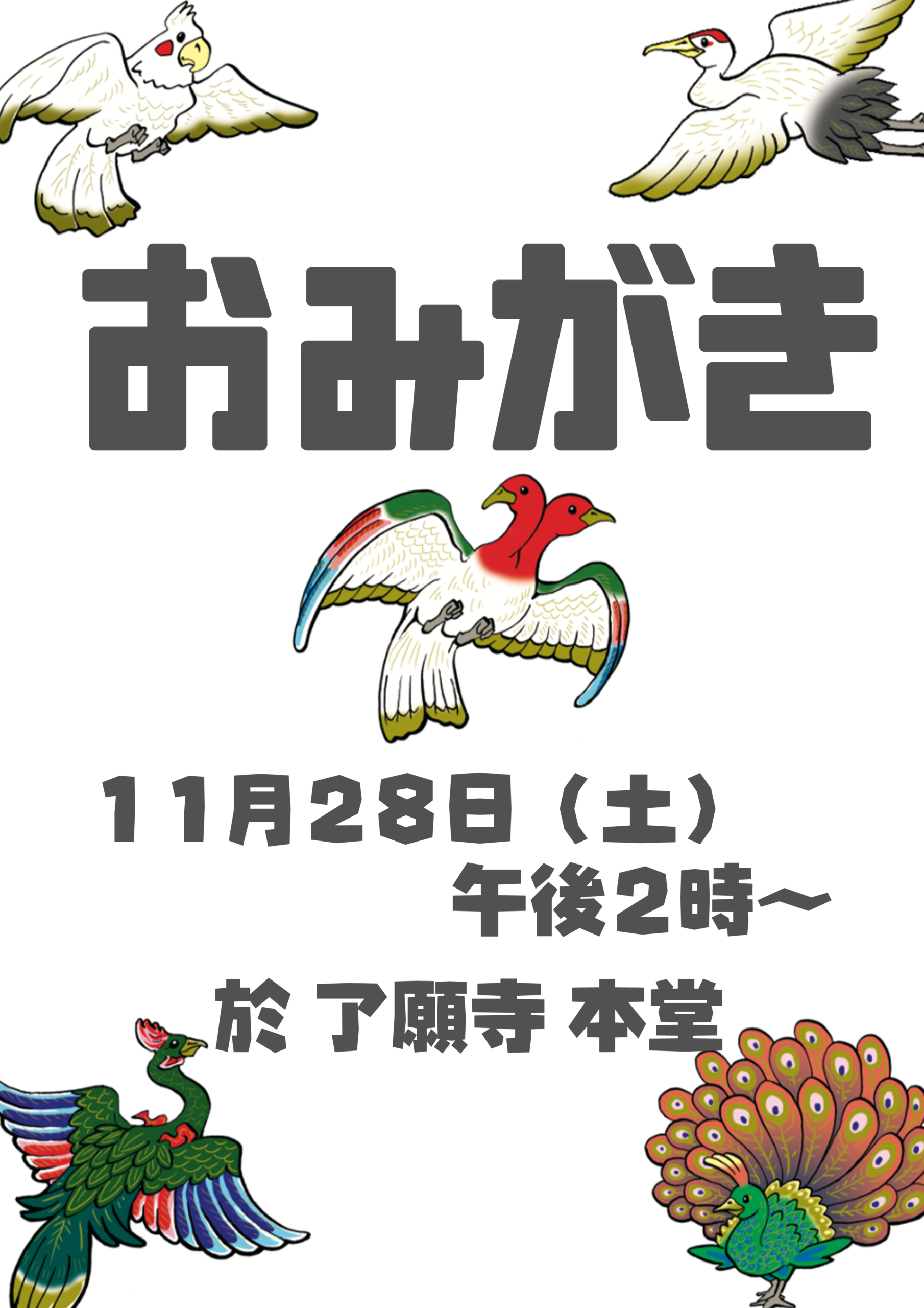 omigaki_2026_11_28.png